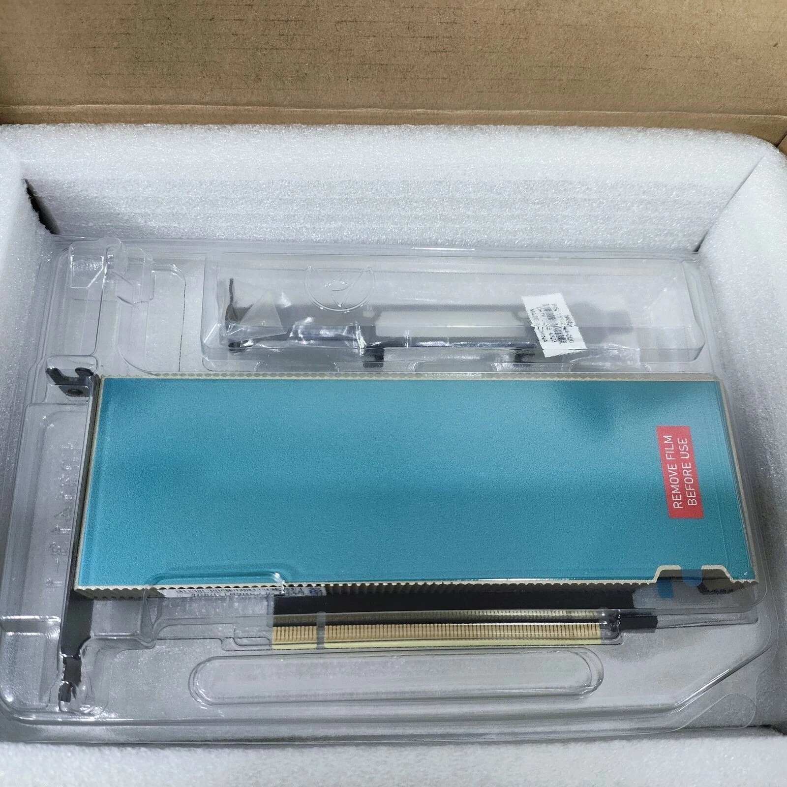 NVIDIA L2 24GB